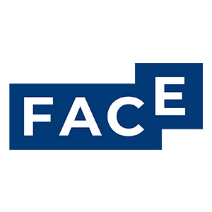 Fondation face